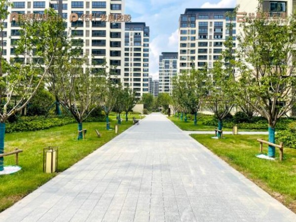 1689908327727754.jpg 圖片 32.JPG