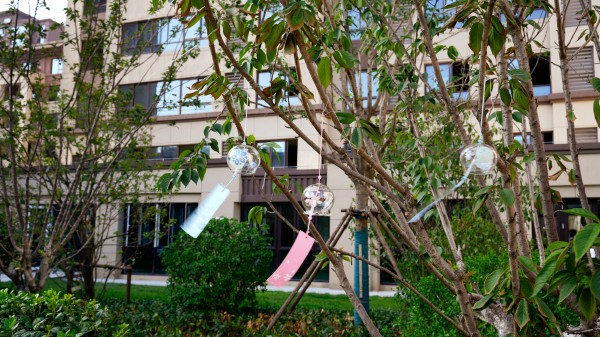 1694759818768043.jpg 1 (38).jpg